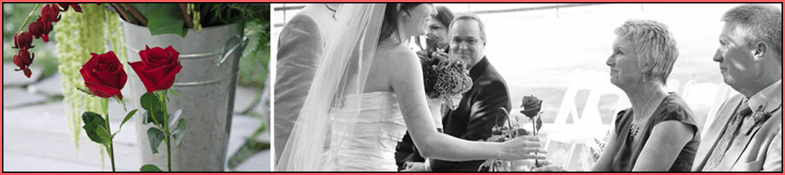 rose ceremony for mothers by edel o'connell dundalk newry